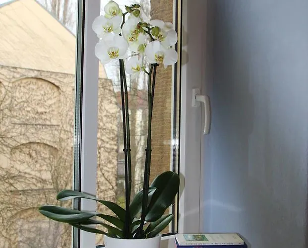 Apartmán Galeriewohnung In Der Neustadt Drážďany